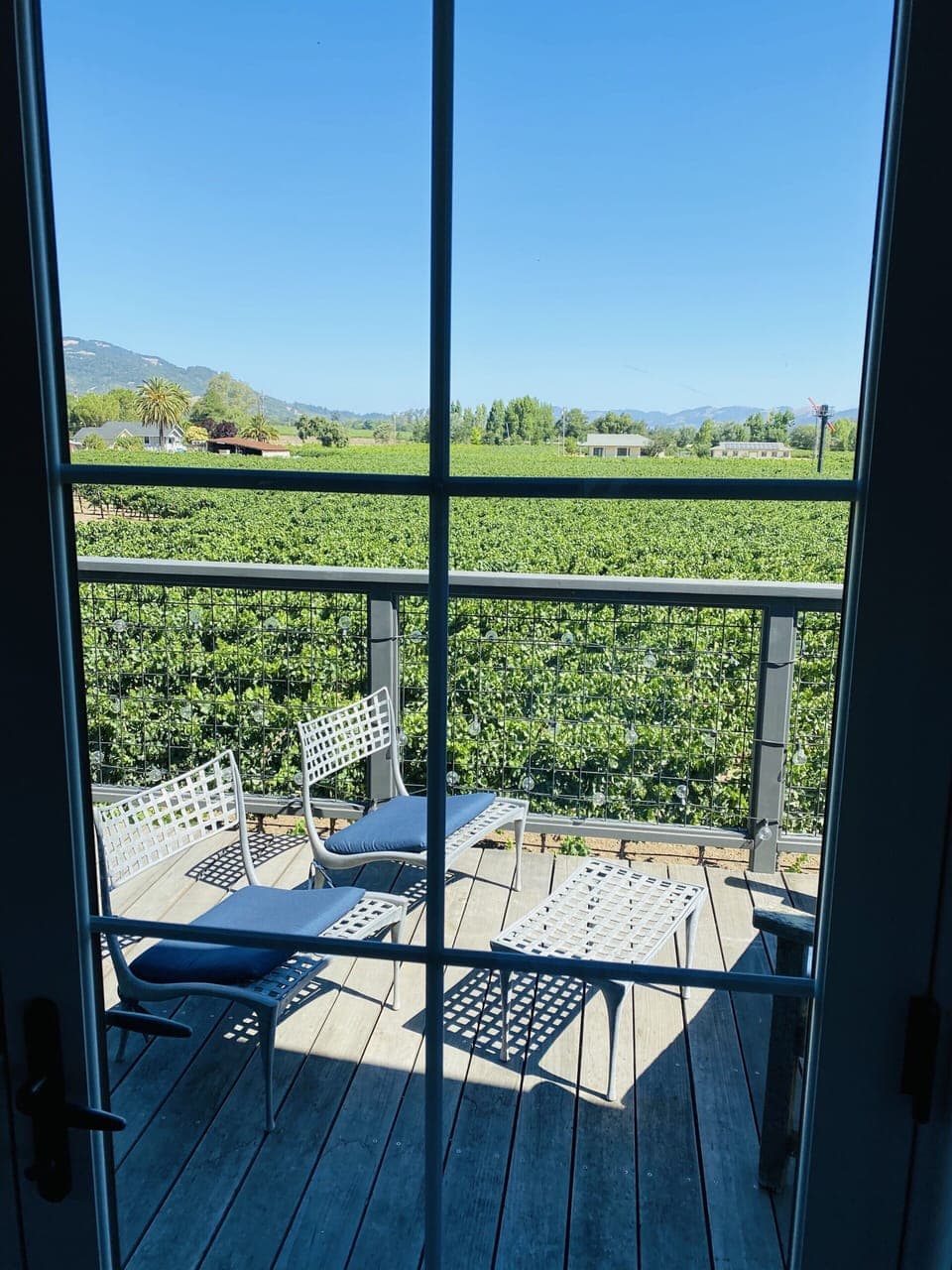 Overlooking vineyards 