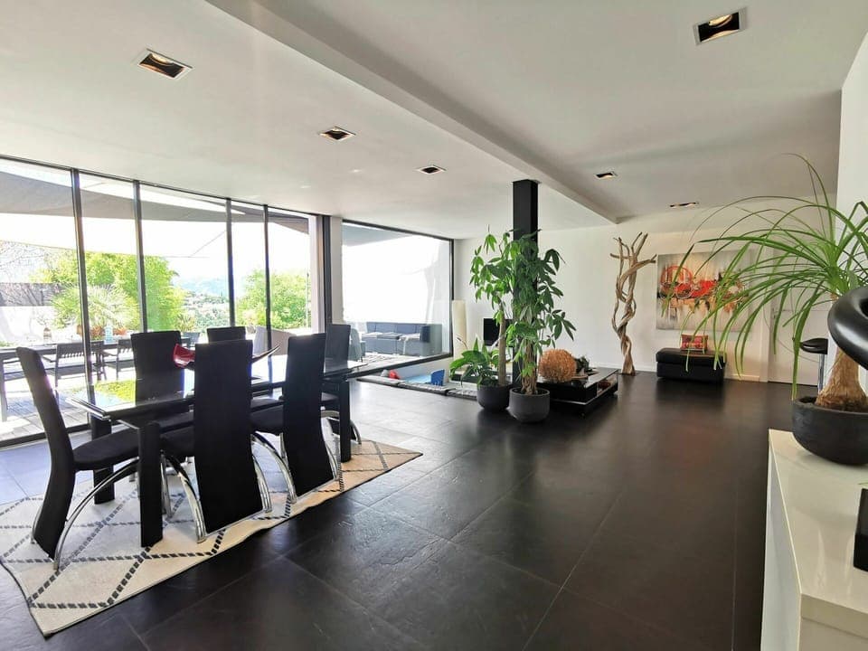 Plant, Property, Furniture, Flowerpot, Houseplant, Interior Design, Building, Lighting, Architecture, Window