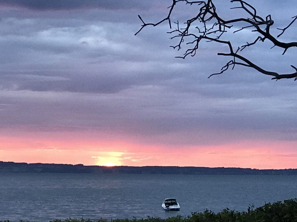 On a walk in the neighborhood at sunset.