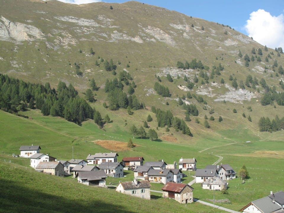 Table, Plant, Tableware, Furniture, Sky, Property, Chair, Outdoor Furniture, Outdoor Table, Interior Design