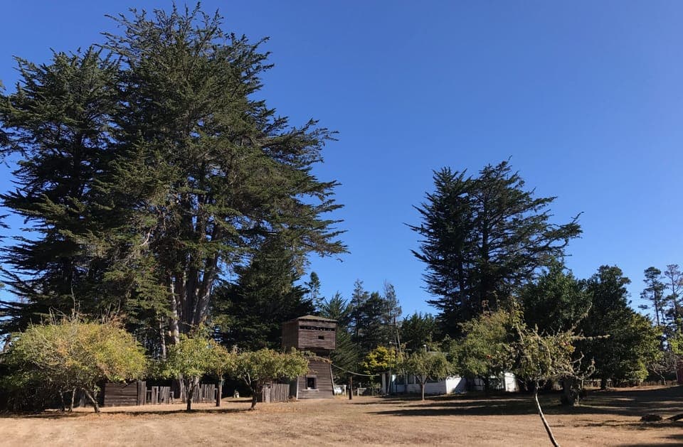 House and water tower viewed from south meadow