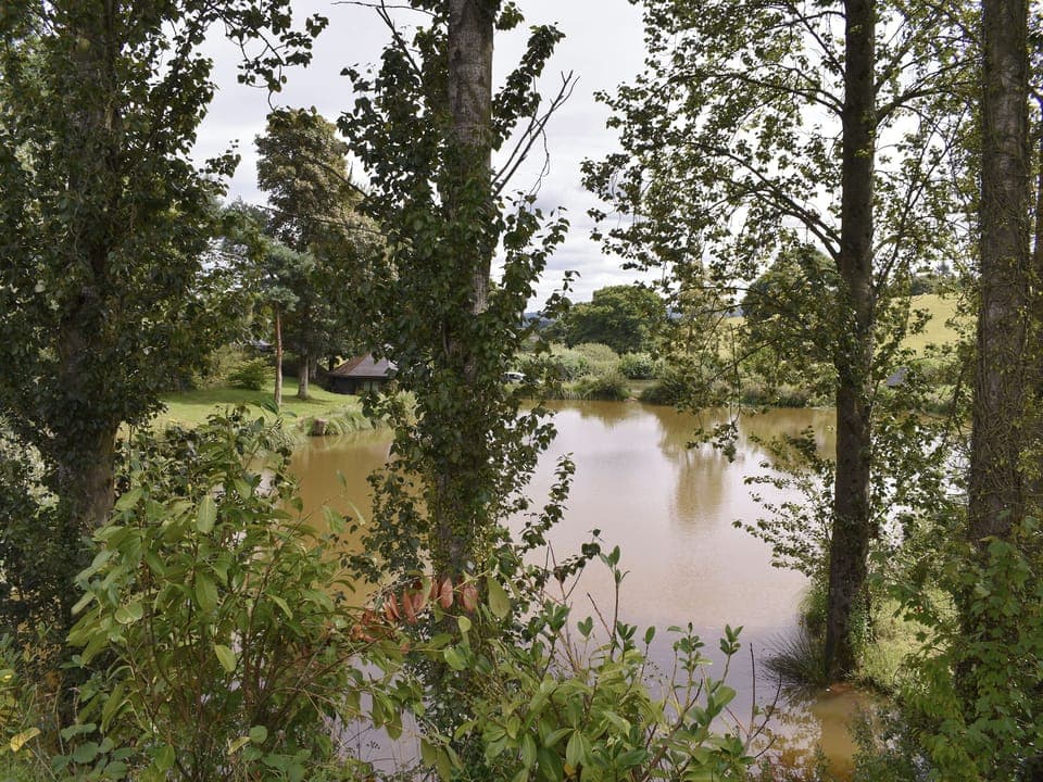 Ponsford ponds | Ponsford PondsCarp Cottage, Jacks Shepherd Hut, Perch Cottage - Ponsford , Knowle,