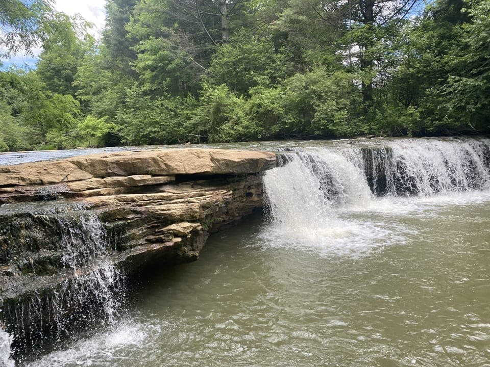 Albert Falls