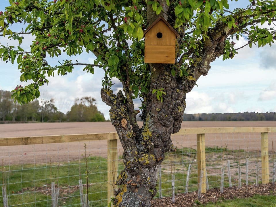 Garden and grounds | Old Alton Hall Farmhouse, Holbrook, near Ipswich