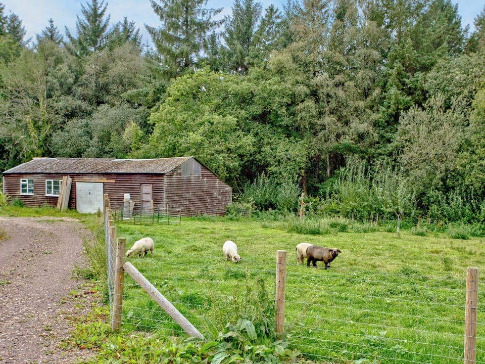 Surrounding area | Orchard View, Whitegate, near Chard