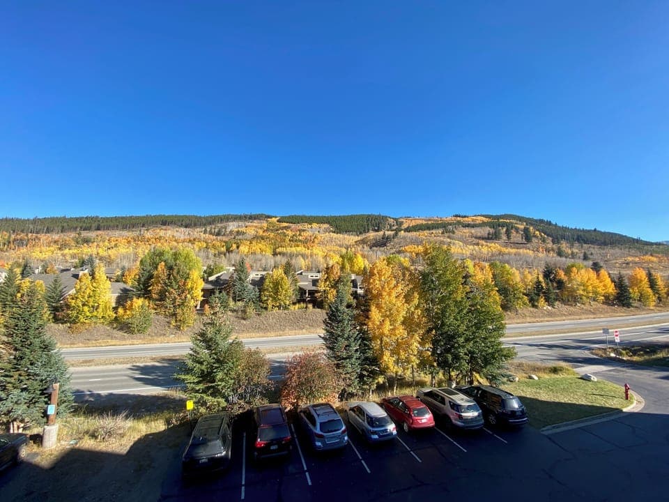 Private patio view in the fall #fall