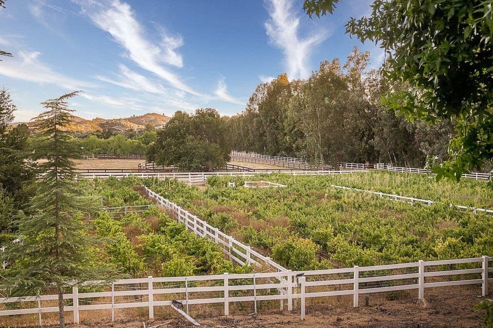 Enjoy the calming effect of nature when you walk around