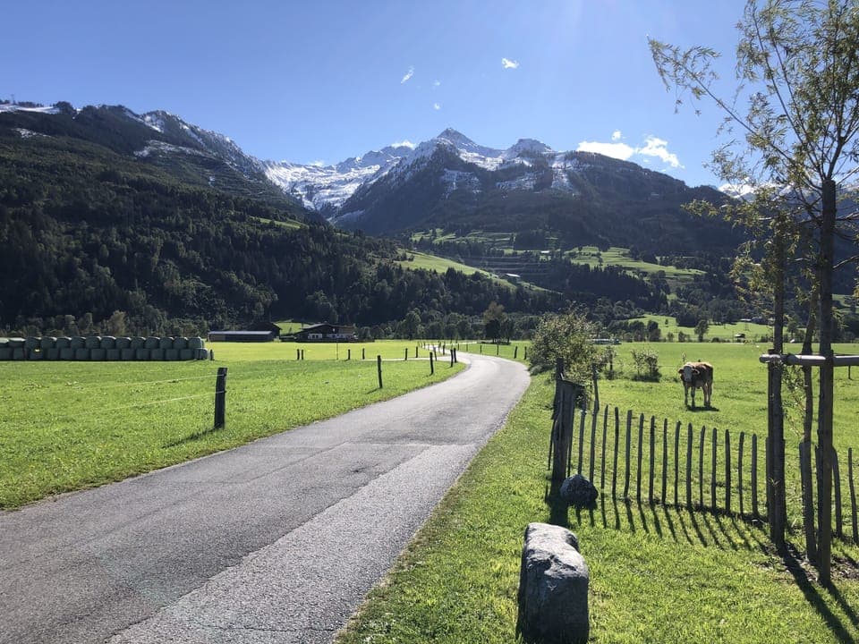 View from Holiday Home [summer]