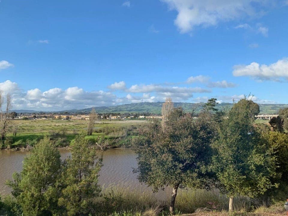 Views from the front deck of Sonoma Mountain and Petaluma River.