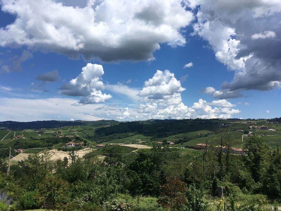 Stunning  Langhe's Hill view from terraces