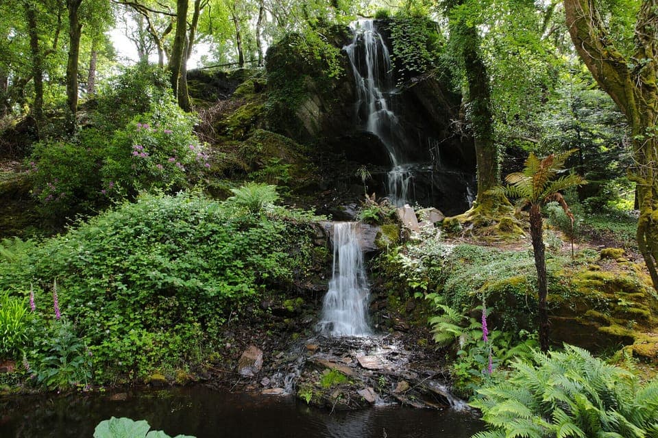 Kells Bay Gardens Waterfall, County Kerry  Tourism Ireland