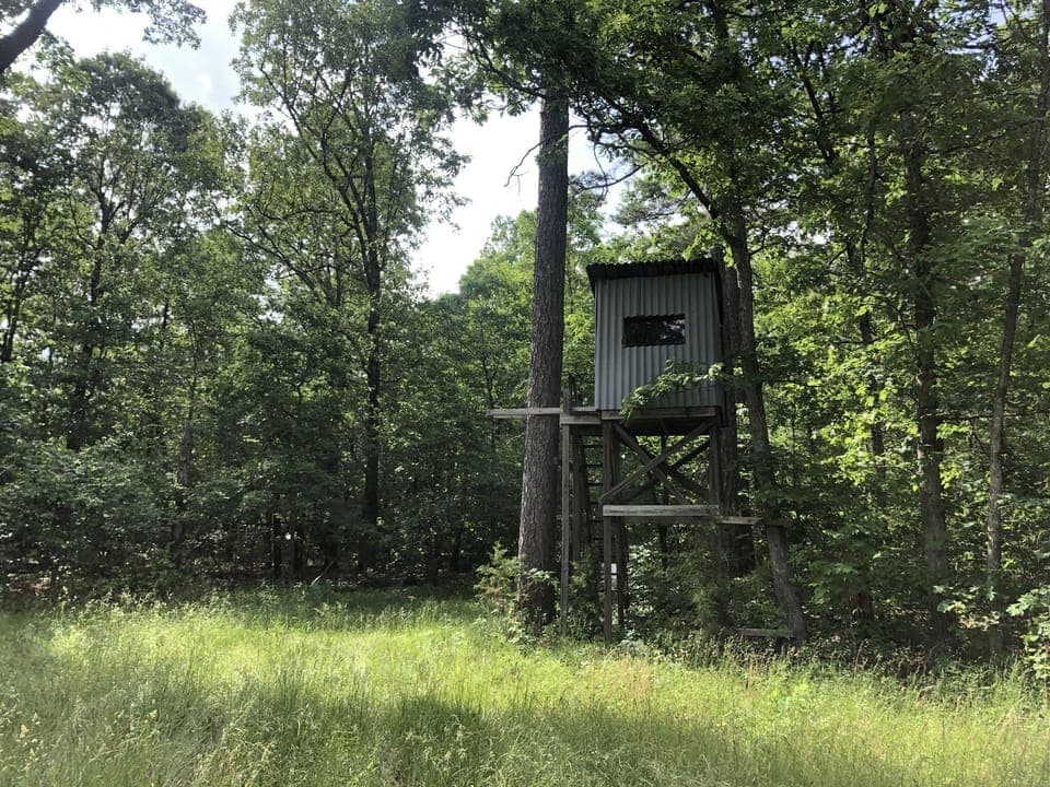 Wildlife viewing stand.