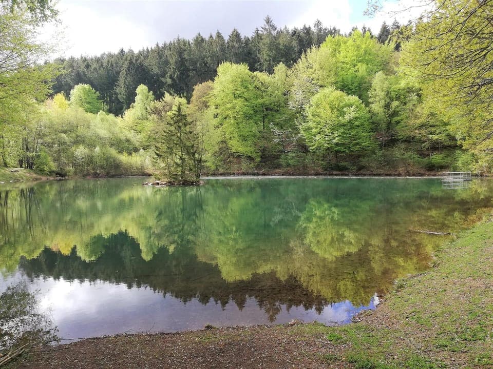 Area that directly surrounds the property