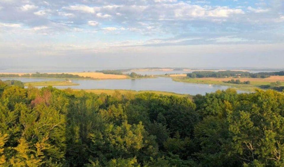 Town/city in general