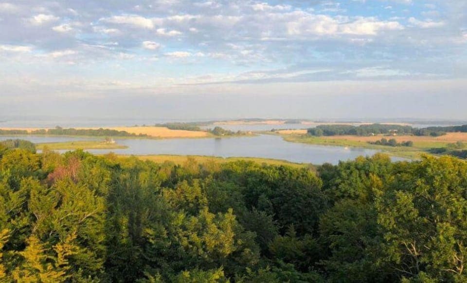 Town/city in general