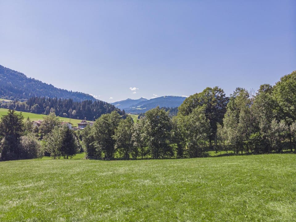 View from Holiday Home [summer]