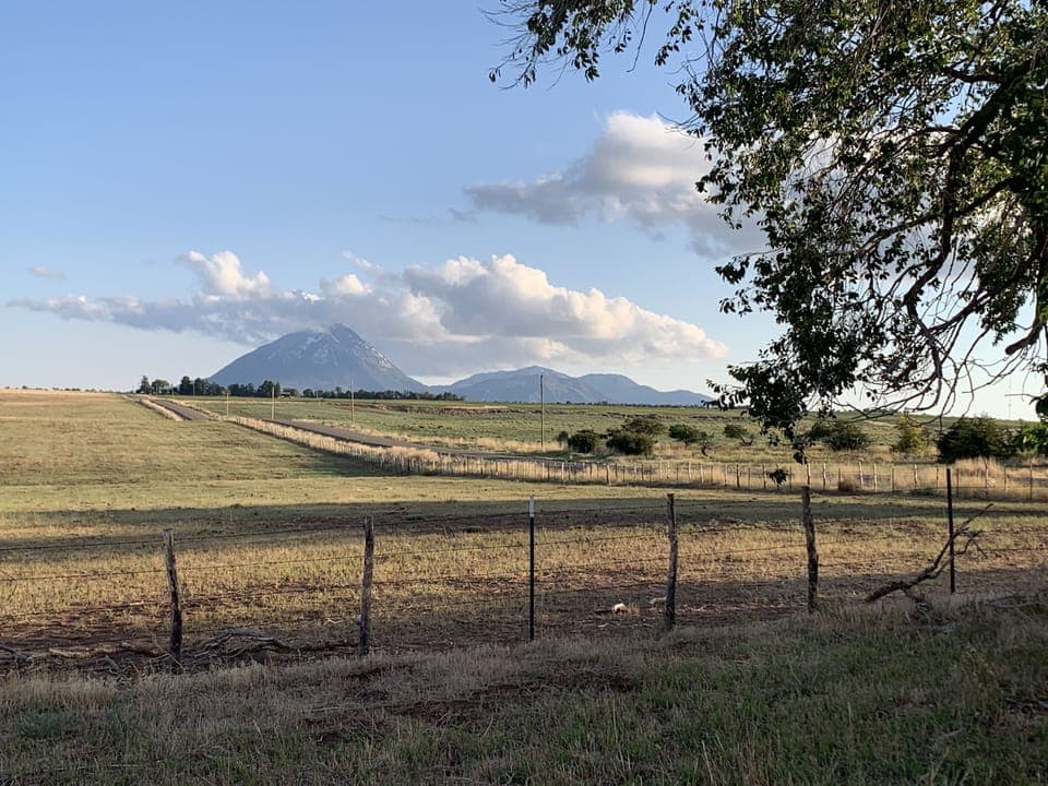 View to the South