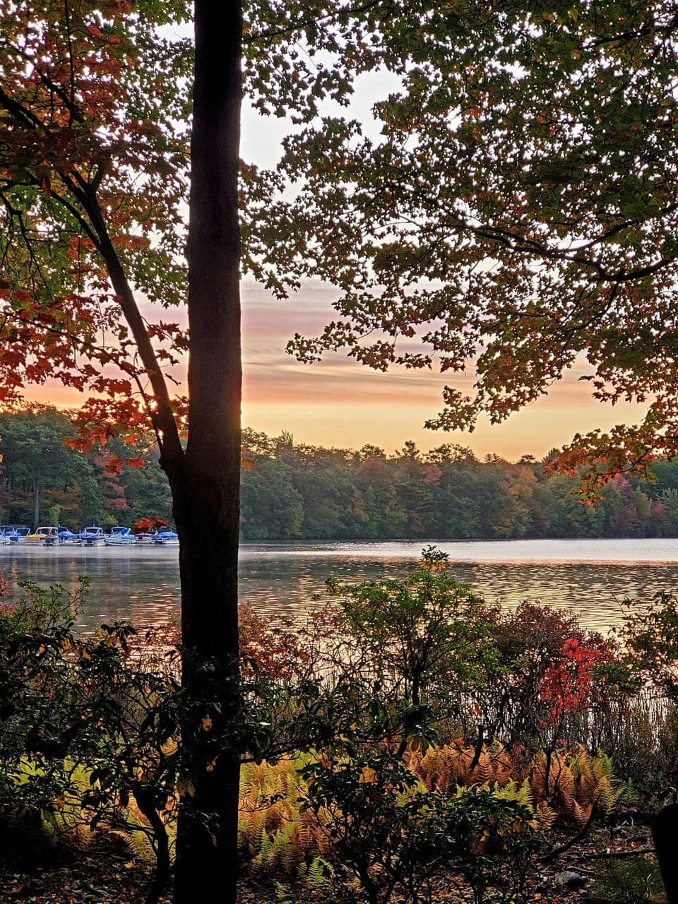 Lake view with sunrise.  Beautiful!