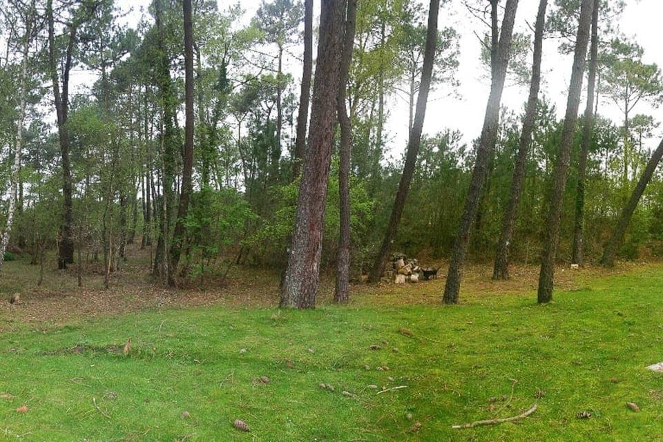 Deux maisons qui peuvent en former qu’une à la frontière de Cucq et le Touquet. Ce fut un super séjour à 16! La maison était très propre et l’accès très facile! Quartier calme au milieu de la forêt !  Garden