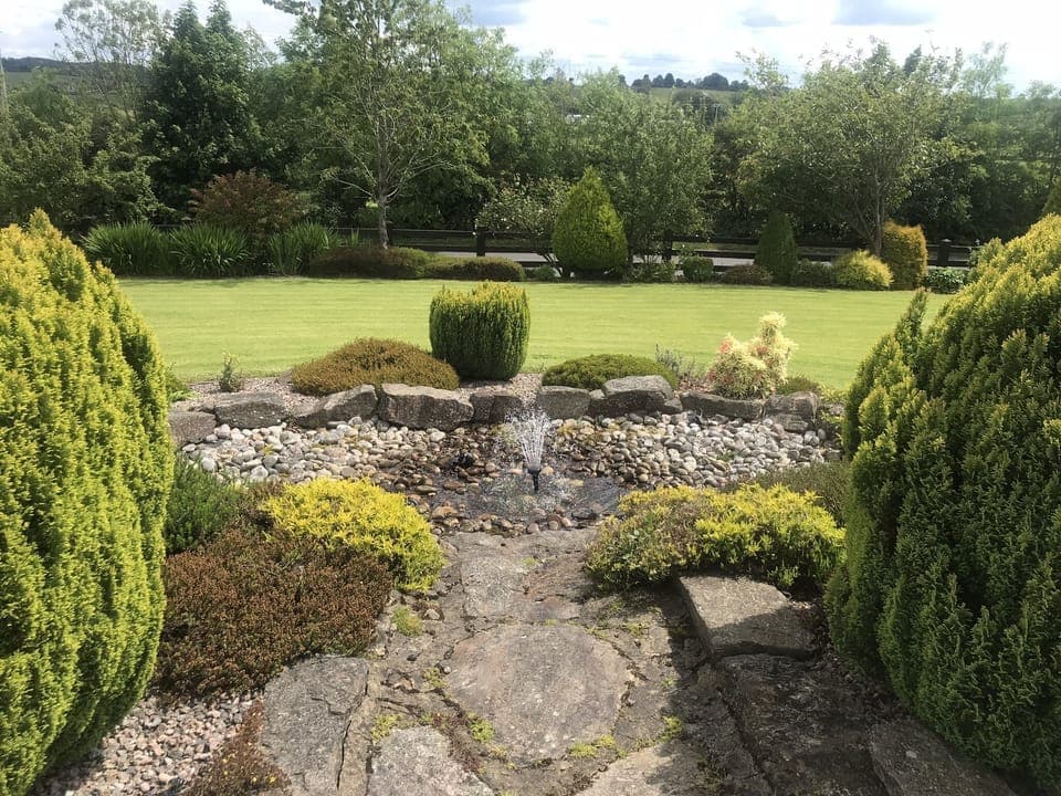 Image 29