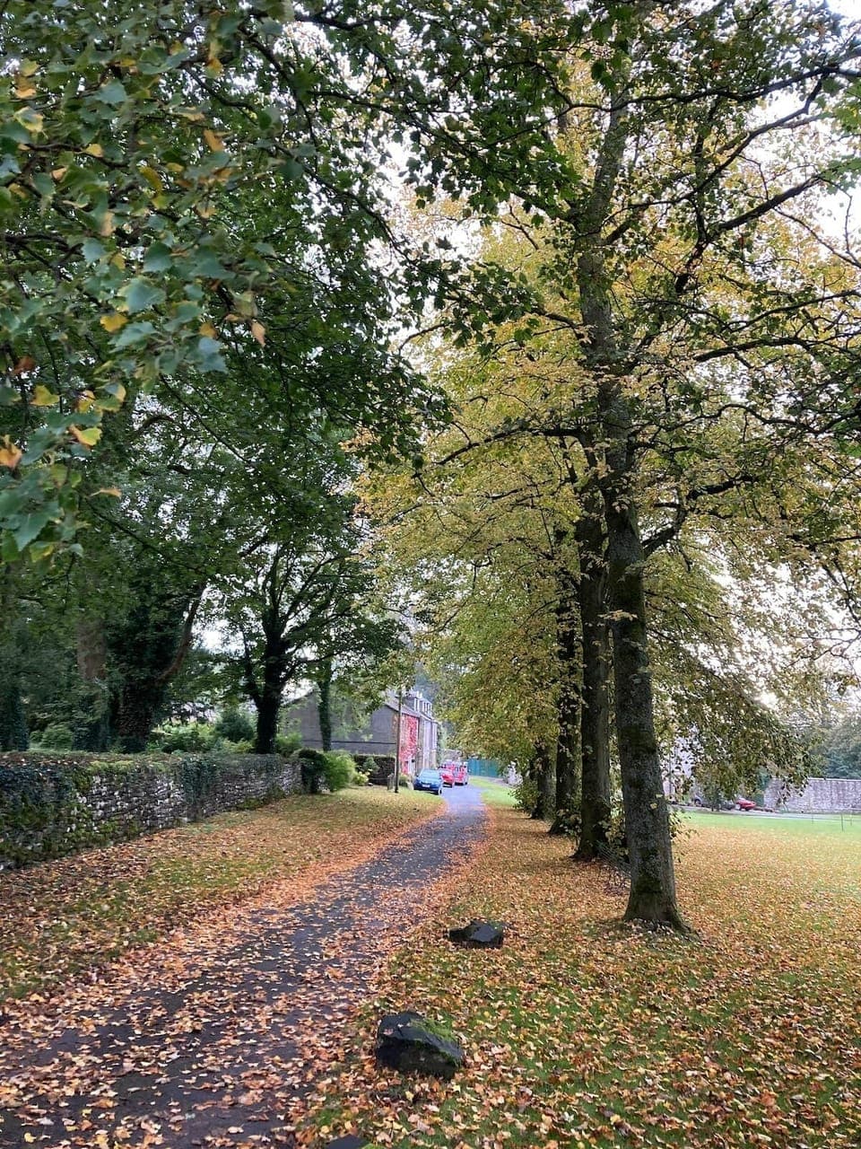 Village area in fall