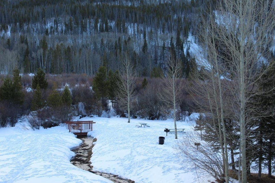 A snowy landscape features a small wooden bridge over a narrow stream, surrounded by leafless trees and dense forest in the background. Two picnic tables are visible nearby.
