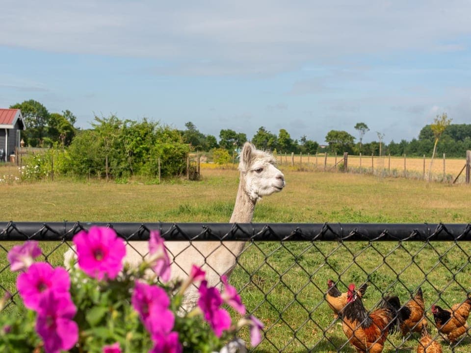 View from Holiday Home [summer]