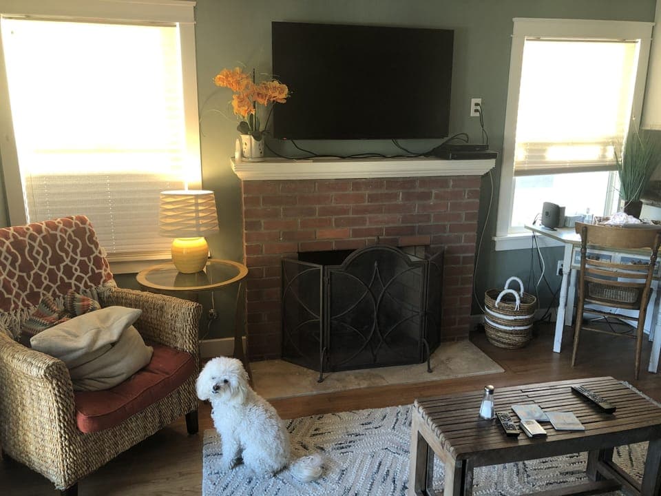 Our dog Barkley watching the tv....dog not included in rental.  :)