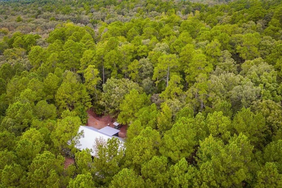 Seasonal therapy trees