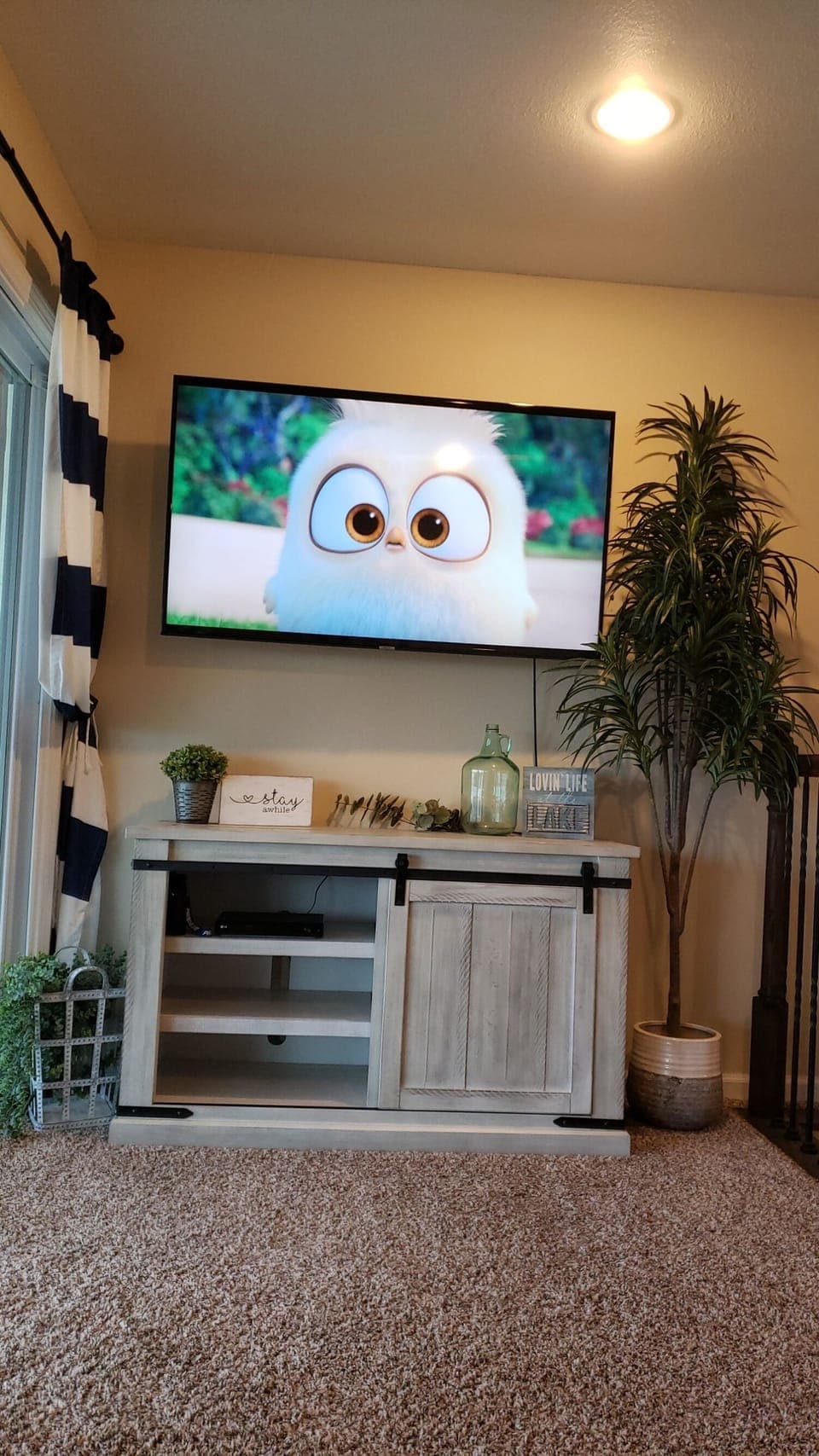 Living room,  55" smart, streaming TV