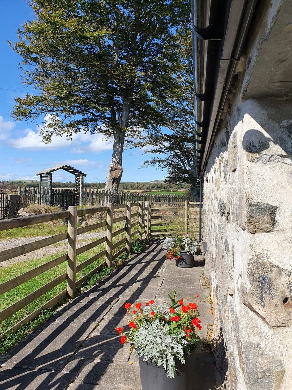 Facing West. The cotrage front. 