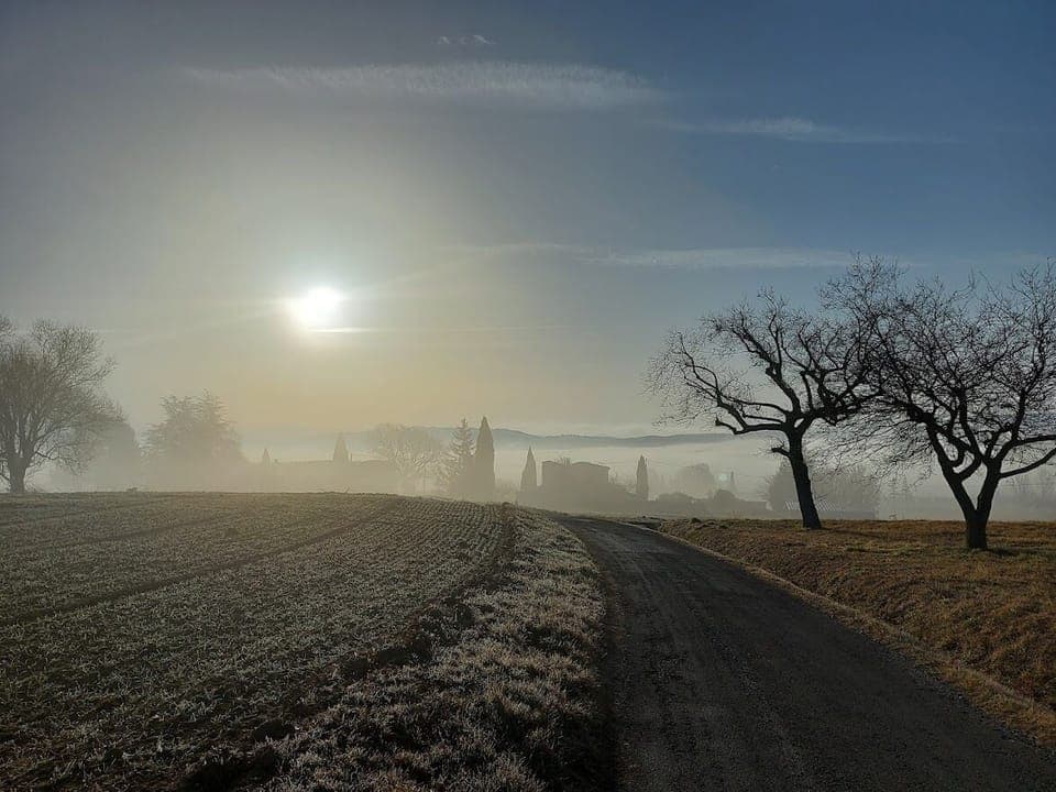 Views from an early morning walk close to the house (Feb 2022)