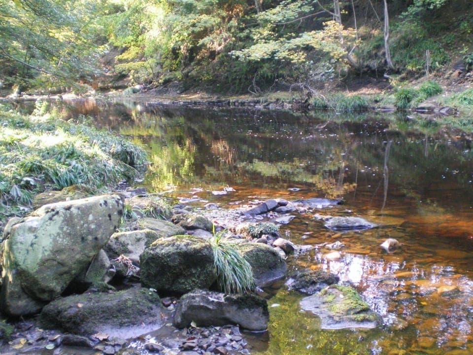 Surrounding area | Mallard Cottage, Grosmont, near Whitby