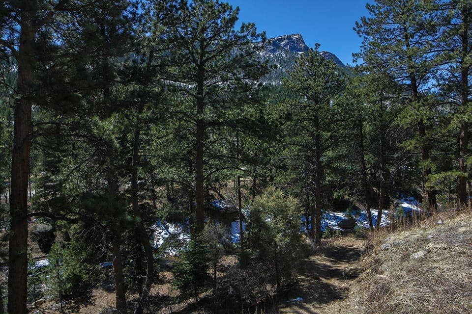 View from Patio