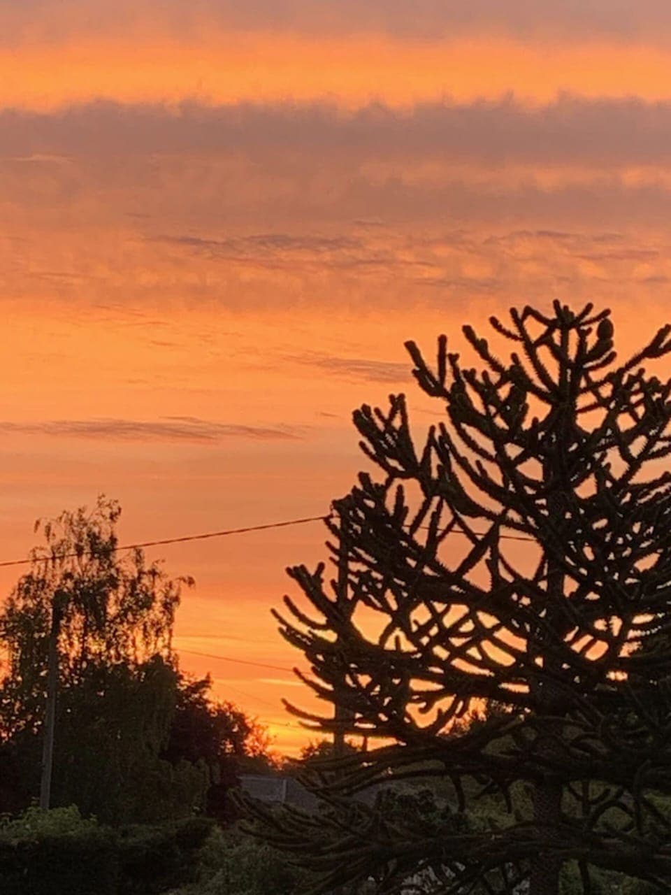 View from the Nook at 4am