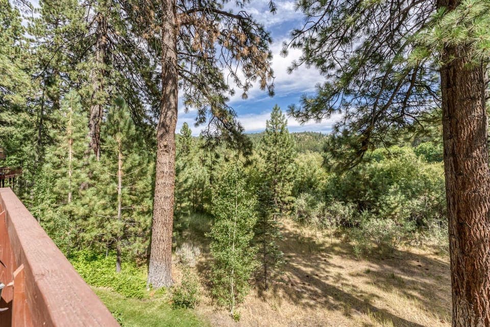 meadow view from deck