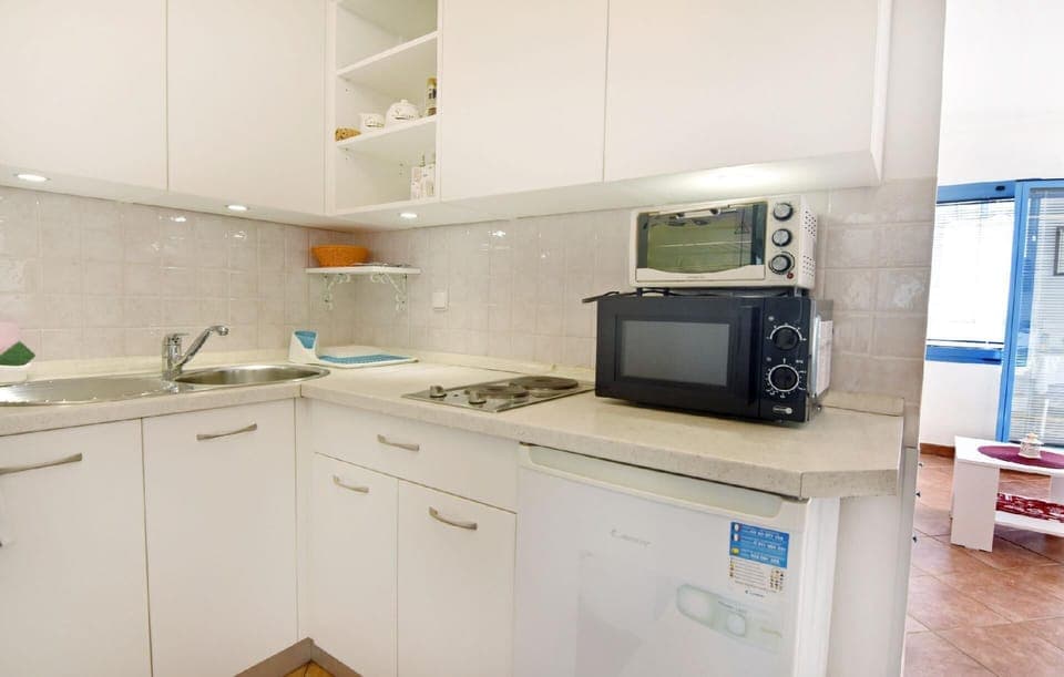 The kitchen equipped with refrigerator, electric stove with two hotplates, microwave oven