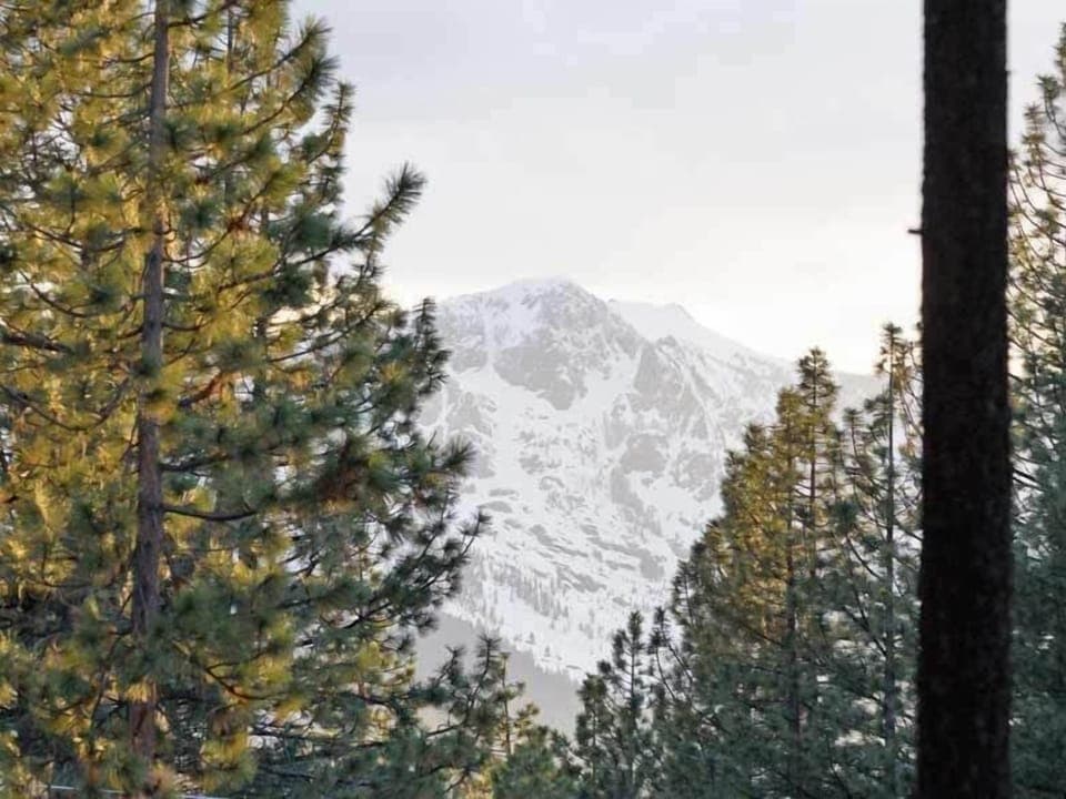 Tallac View - Back Yard