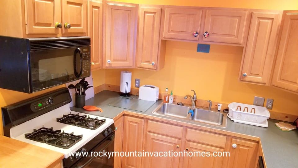 Gas stove and oven