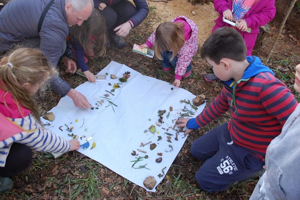 Woodland adventure discovering