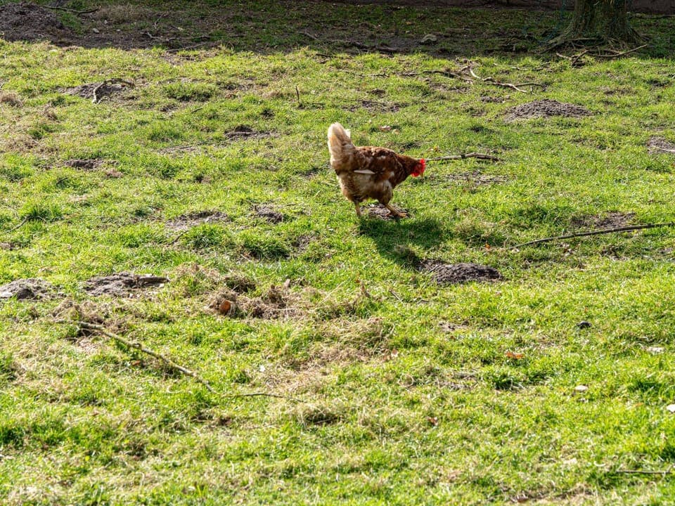 Immediate Surroundings [summer] (<1 km)