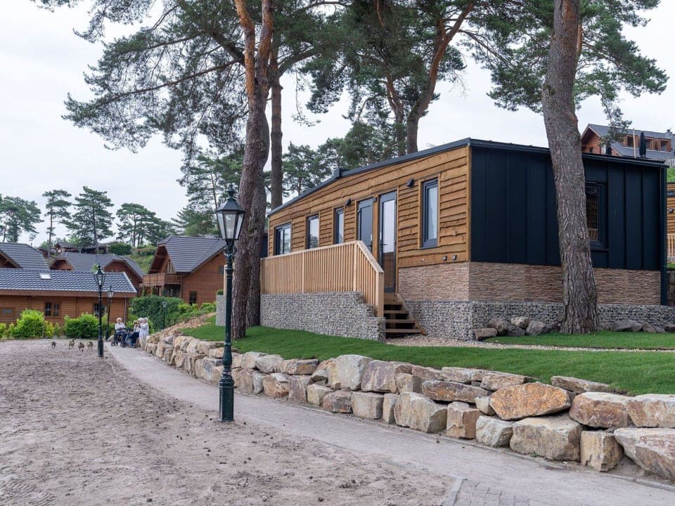 Plant, Sky, Property, Building, Window, Tree, House, Land Lot, Neighbourhood, Wood