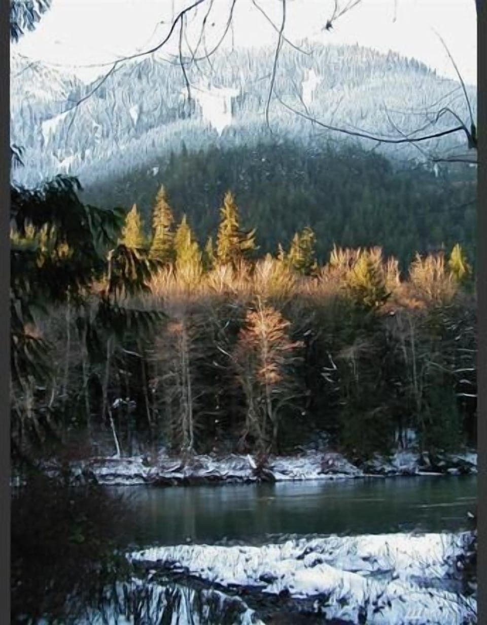 "tis the season for snow capped mountain views