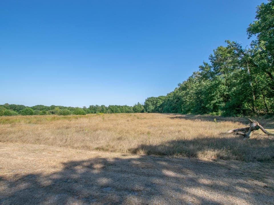 Surroundings [summer] (1-5 km)