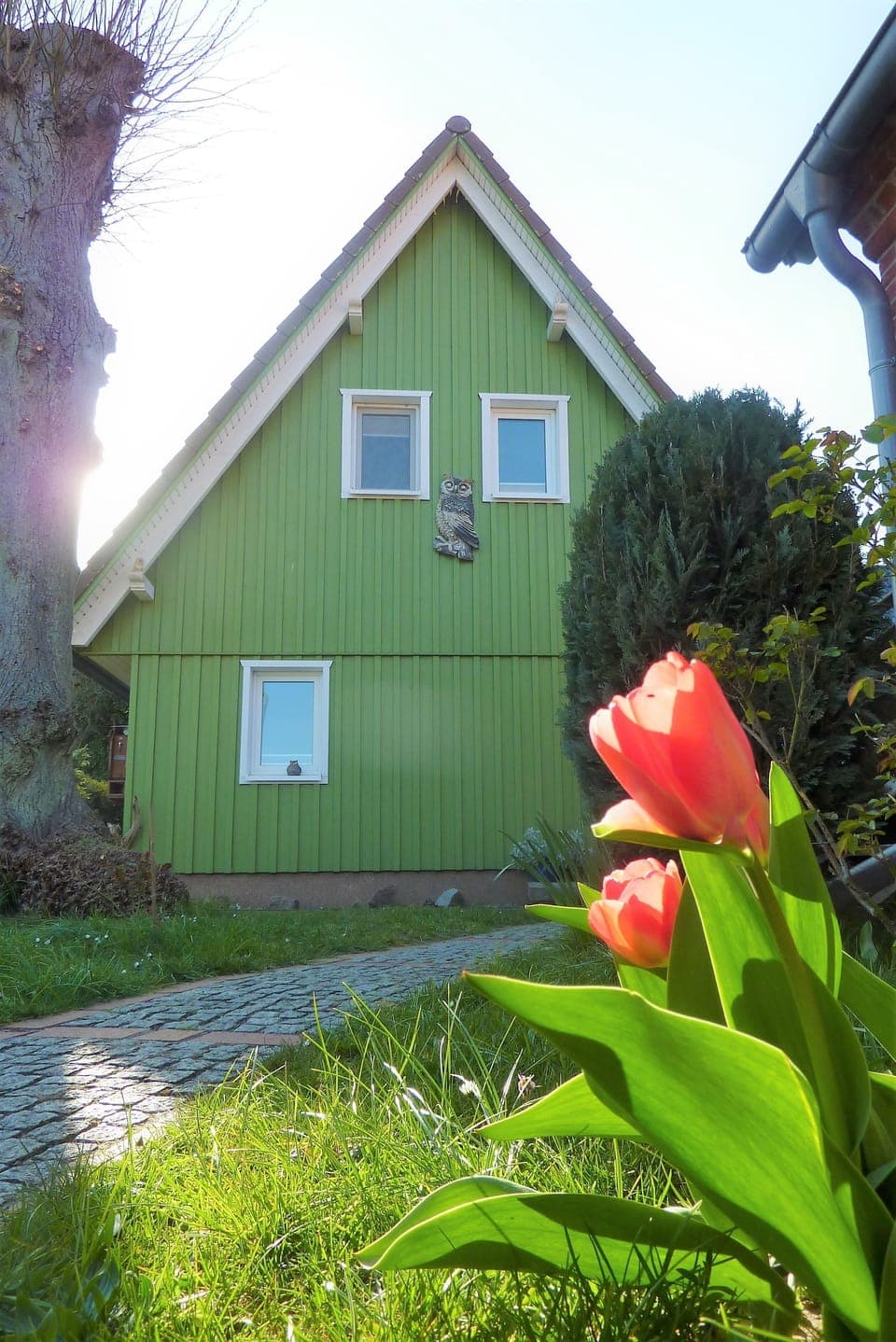 Exterior detail