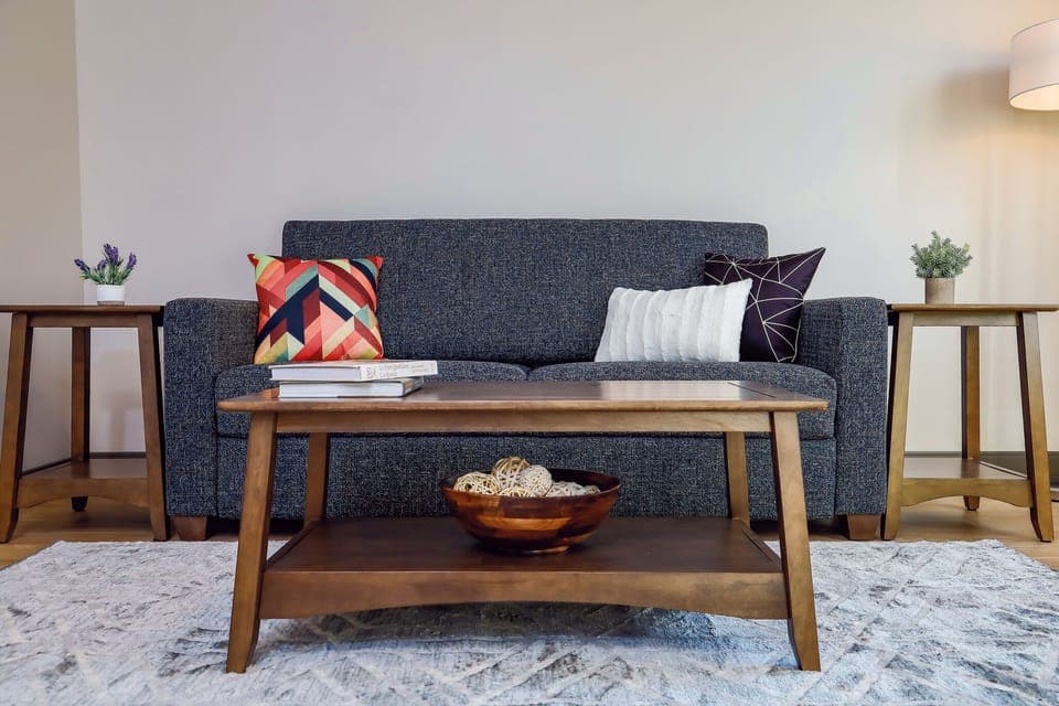 Living Room | Sofa Sleeper