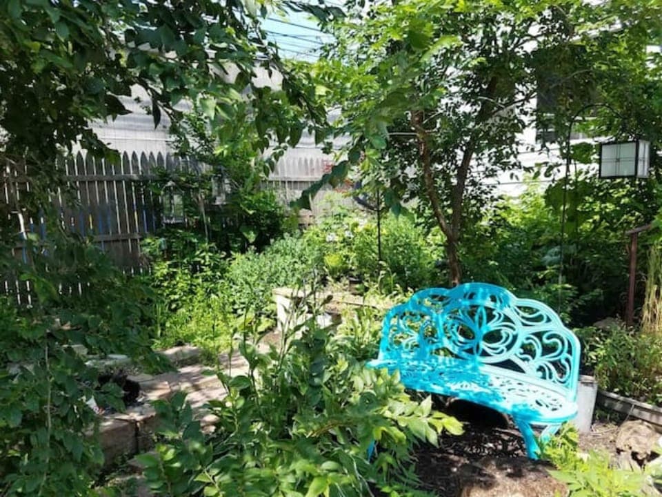 Zen garden and fire pit (year round).