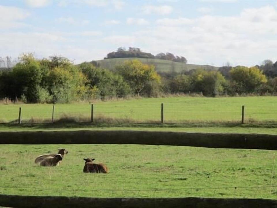 Wittenham Clumps