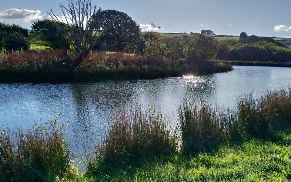 Our gorgeous lake, ideal for fly fishing