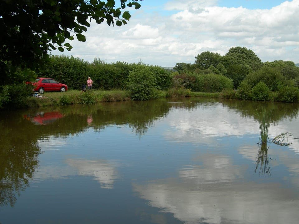 Coarse fishing ponds